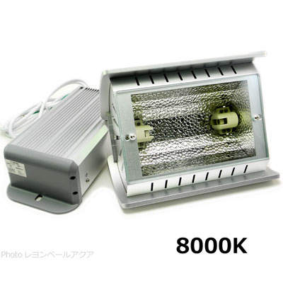 カミハタ ファンネル2 150W 8000K【レヨンベールアクア】