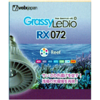 グラッシーレディオ　RX072 Reef